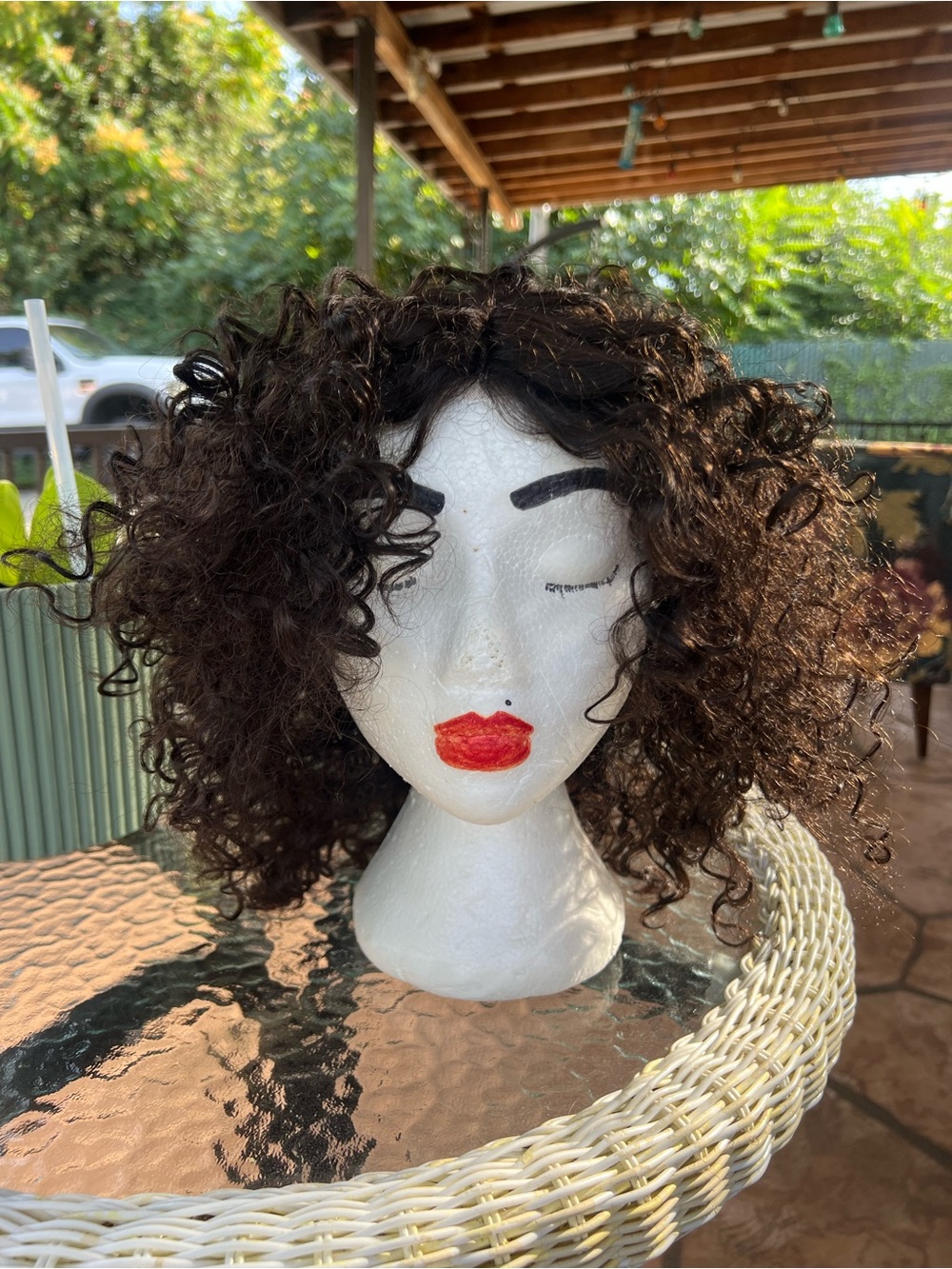 Curly Short Women's Wig